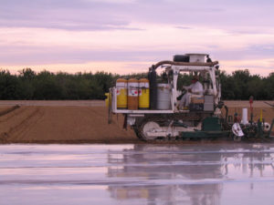 Shank Broadcast Application Method