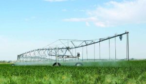 Sustainable Farming