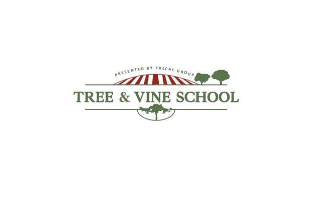 Tree and Vine School 2022 Logo
