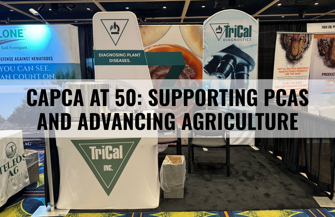 CAPCA at 50: Supporting PCAs and Advancing Agriculture