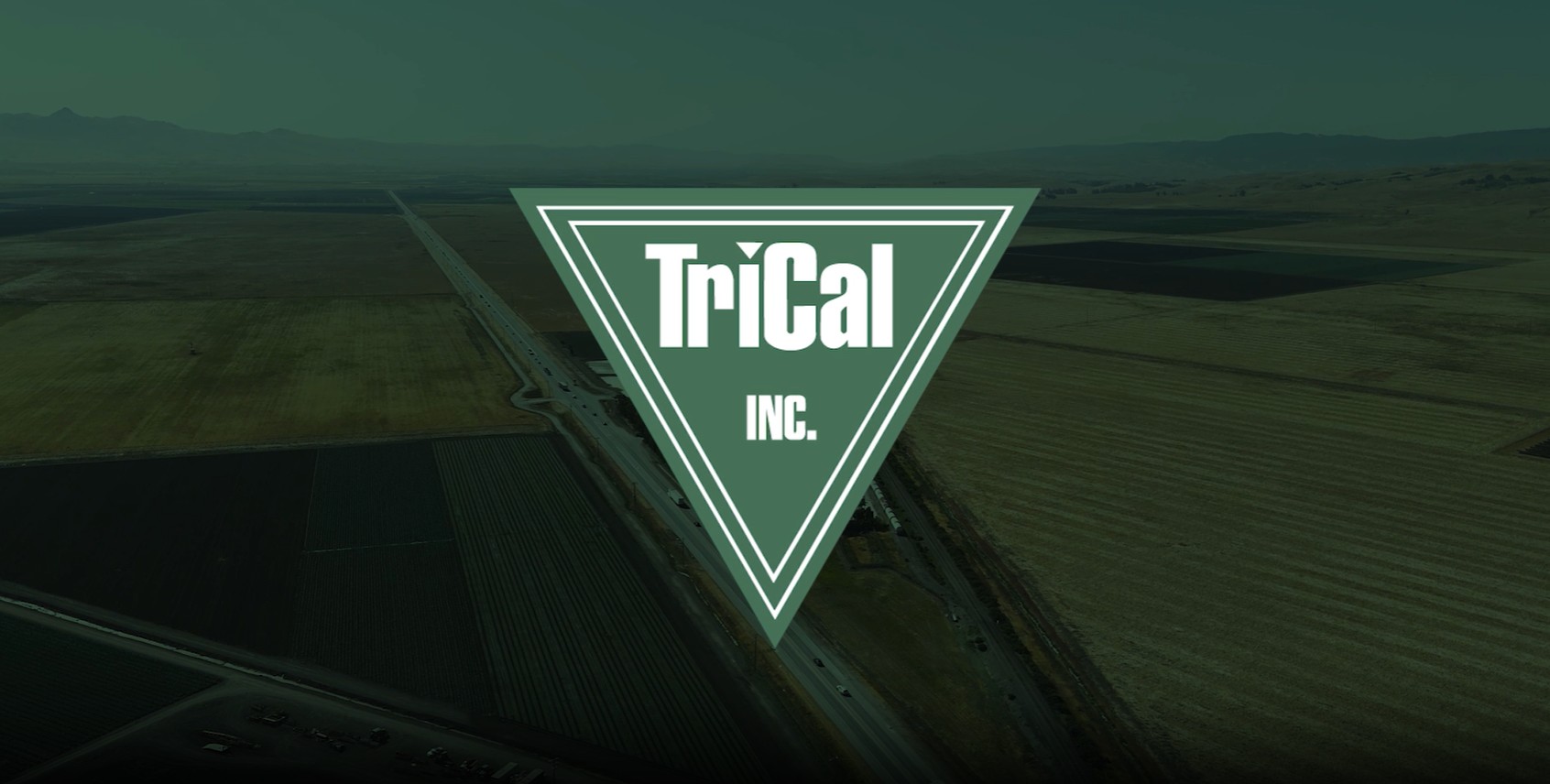 Behind the Work: A Look Inside TriCal, Inc.