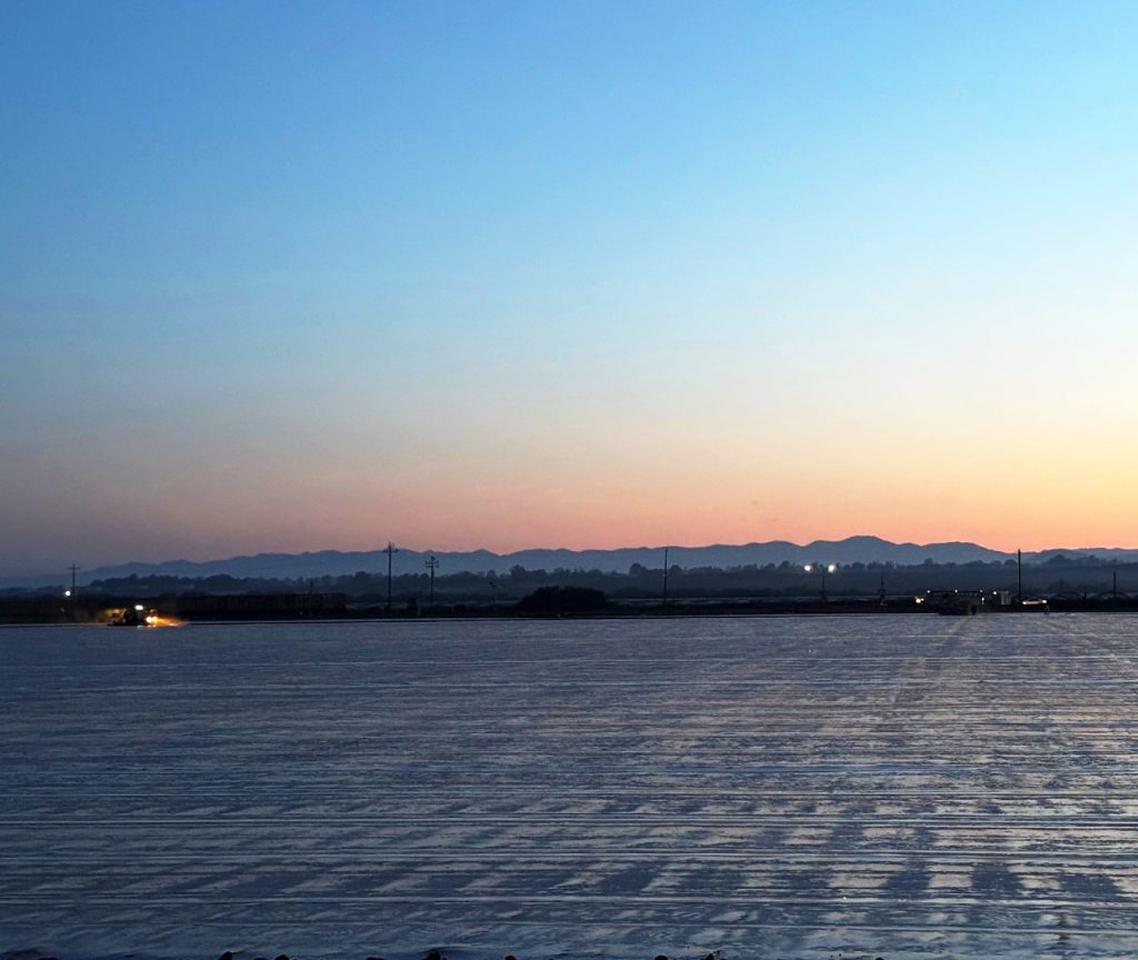 Plasticulture Basics Part 2: Broadcast Film and Barrier Technology in Soil Fumigation