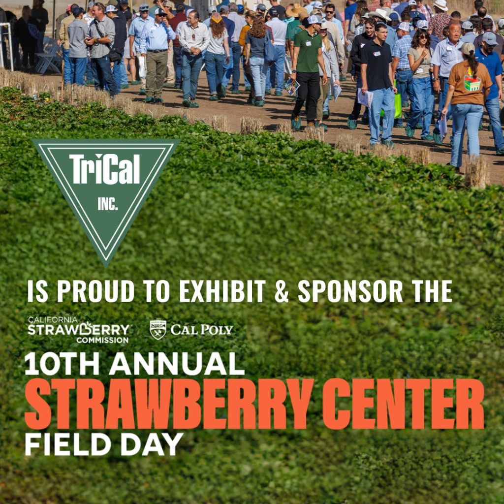Join TriCal, Inc. at the 10th Annual Cal Poly Strawberry Center Field Day