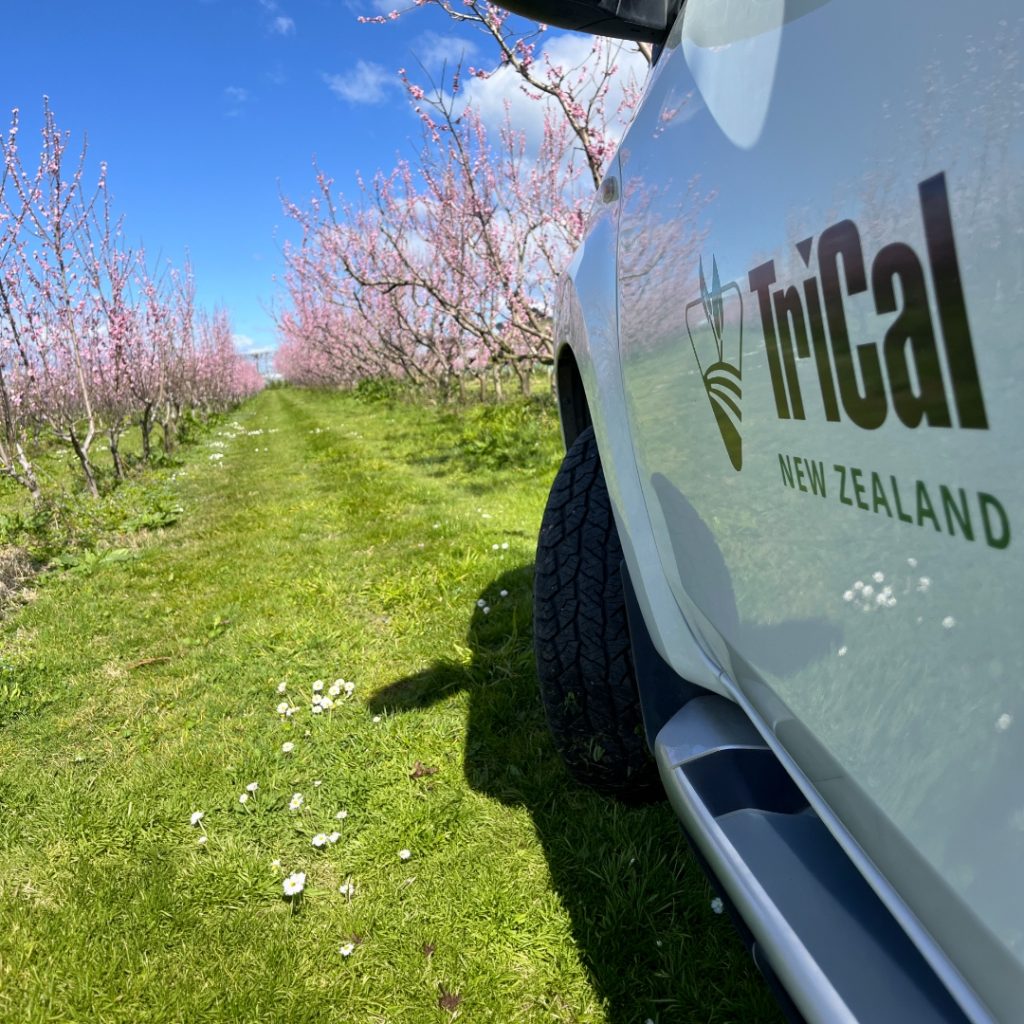 What Can We Learn From New Zealand? Pic-Plus Trial Shows Positive Results in Stone Fruit